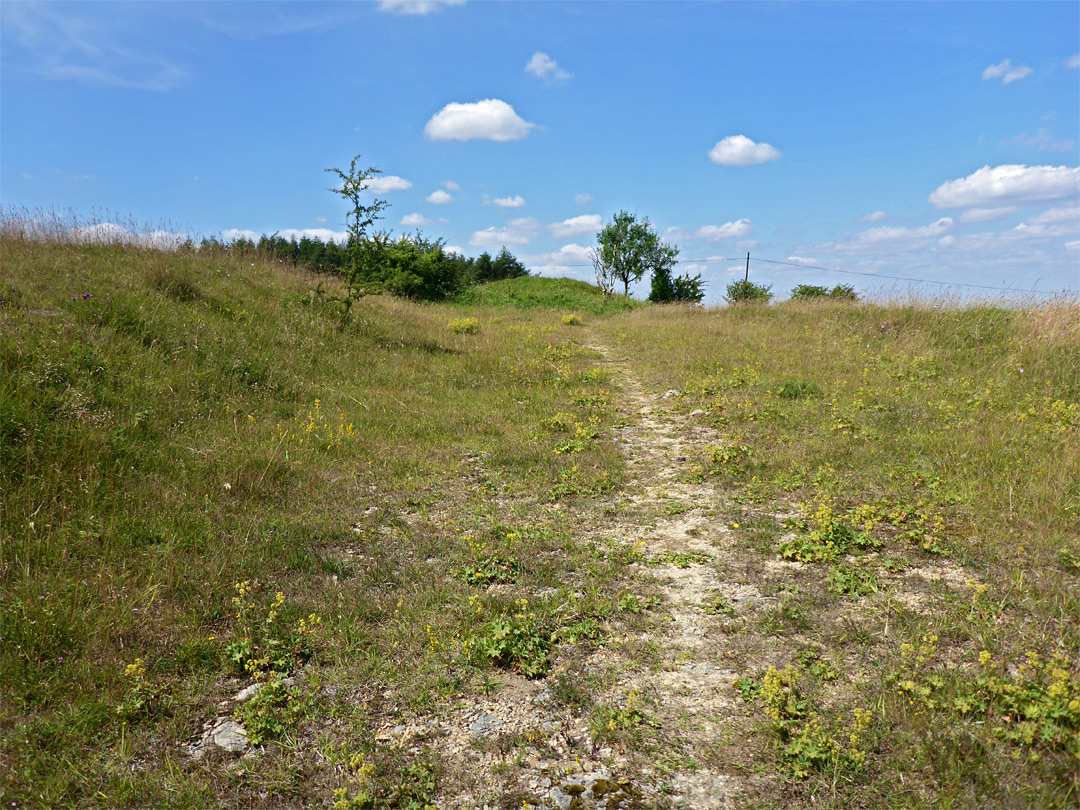 Path across short grass