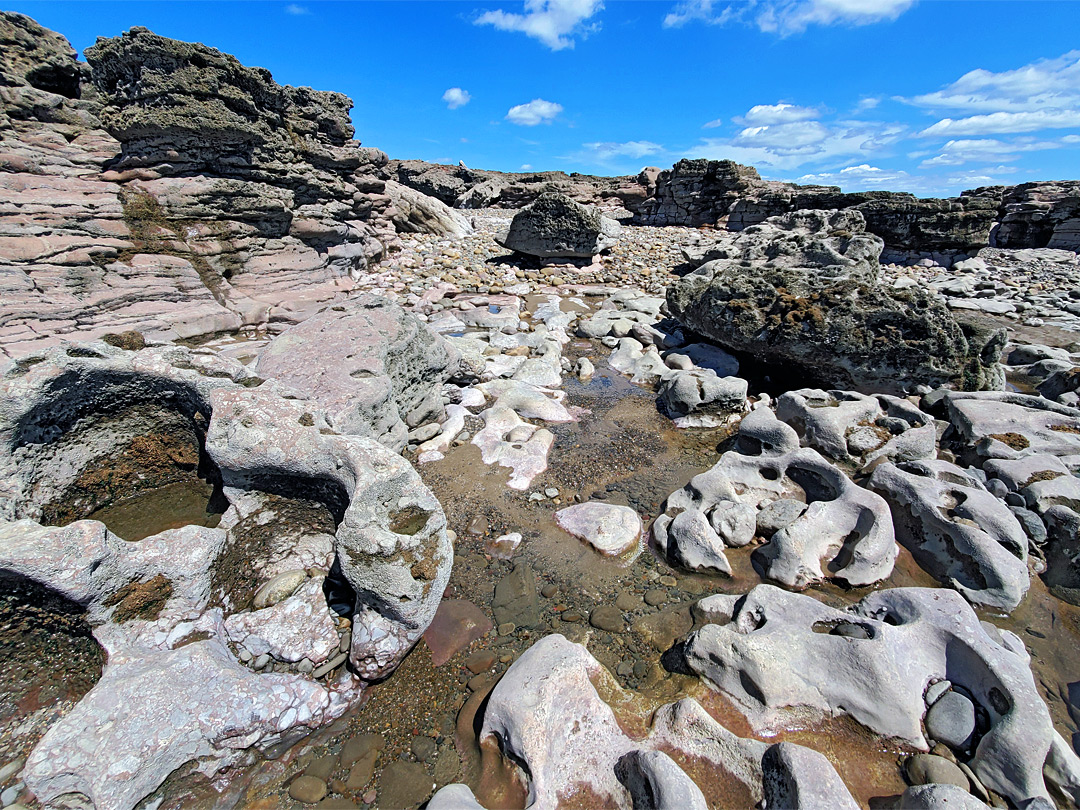 The rocks, at low tide