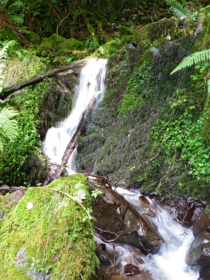 Waterfall in Twitchin Combe