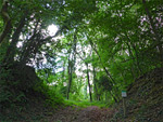 Lippets Grove Nature Reserve