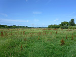 Lugg Meadow