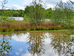 Woorgreens Lake