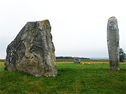 Stones of the Cove