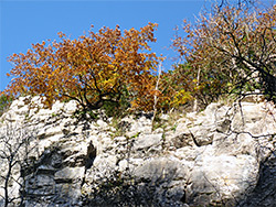 Limestone cliff