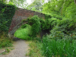 Path under a bridge