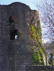 Ivy on the southwest tower