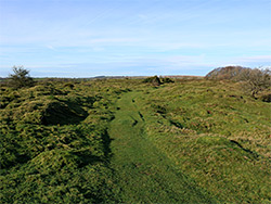 Grassy path