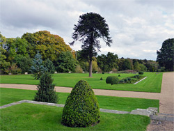 Lawn to the northeast