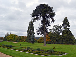 Gardens to the east