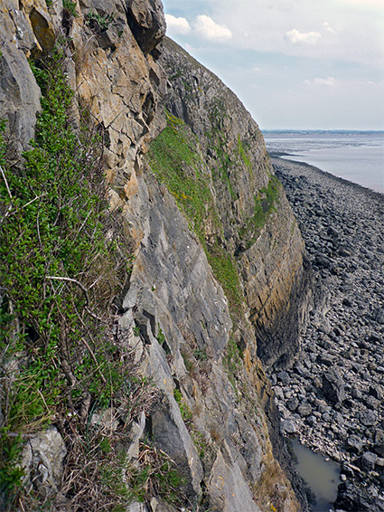Lichen-covered cliffs