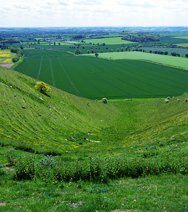 Pewsey Downs