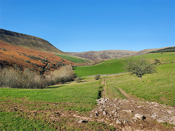 Valley of Grwyne Fechan