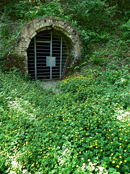 Gated tunnel entrance