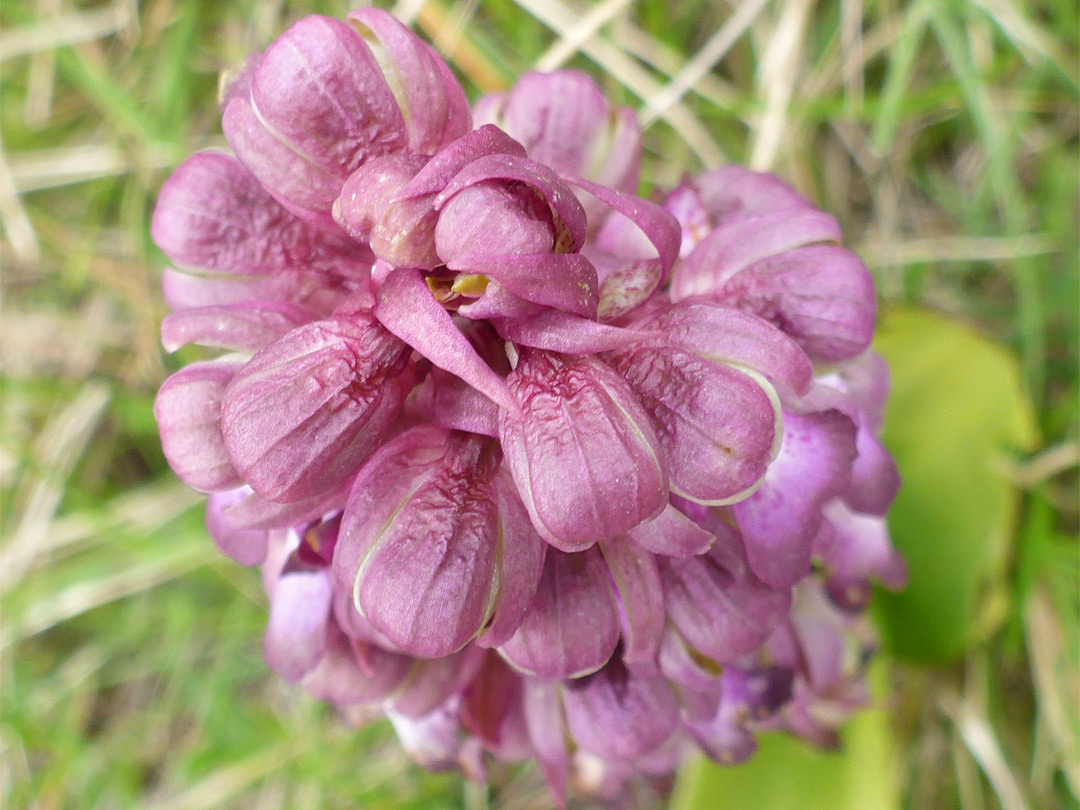 Top of a cluster