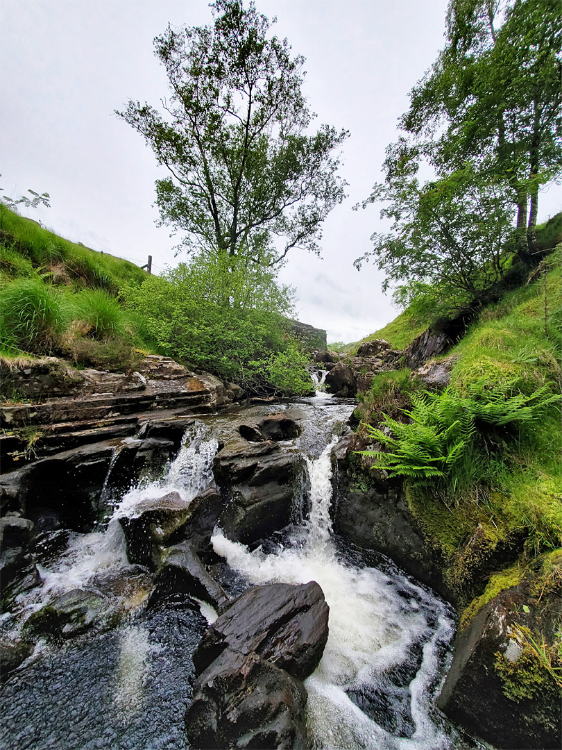 Rocks around the stream