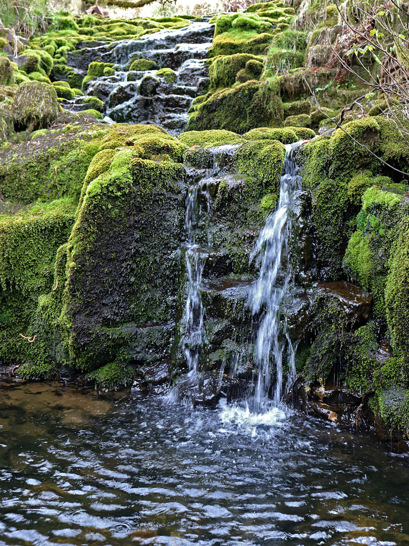 Mossy waterfall