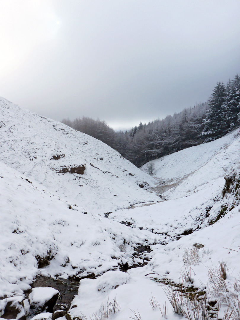 Winding stream