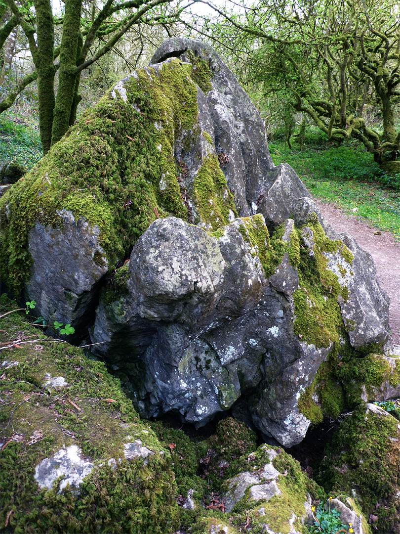 Mossy rock