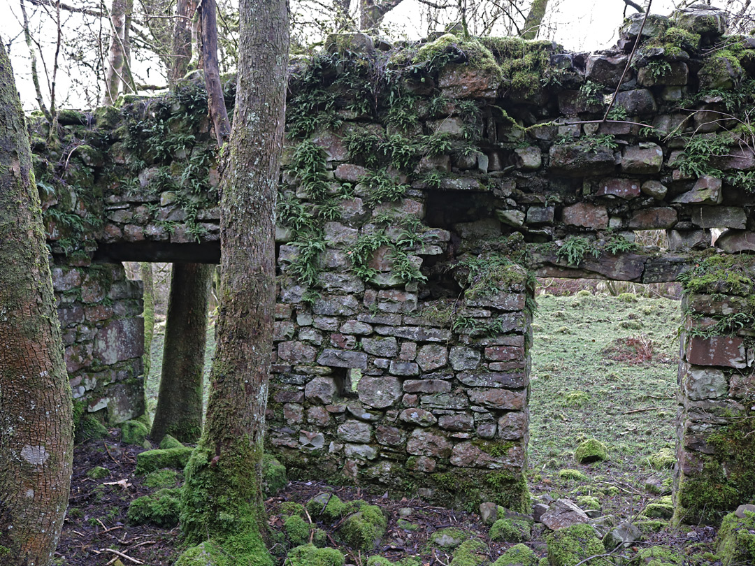 Inside a ruin