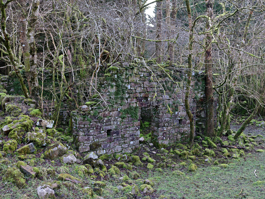 Ruined building