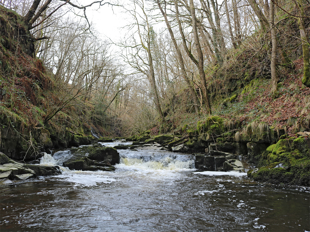 Cascade and pool