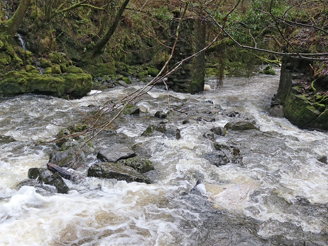 Bridge supports