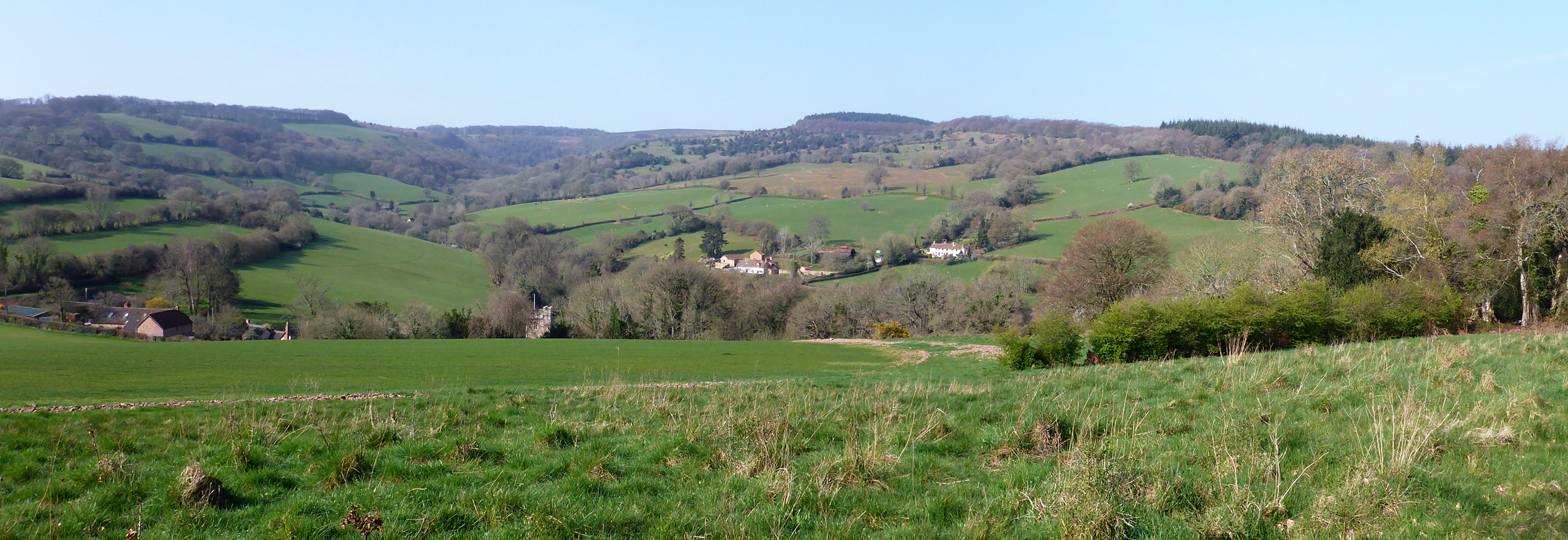 Aisholt Common