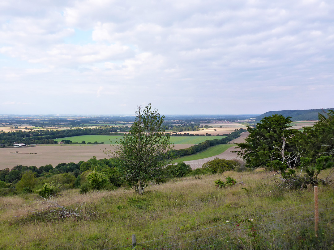 Fields to the west