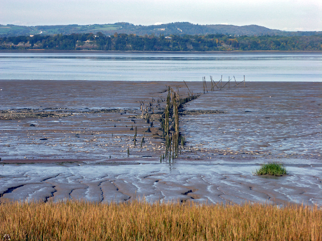 Wooden posts