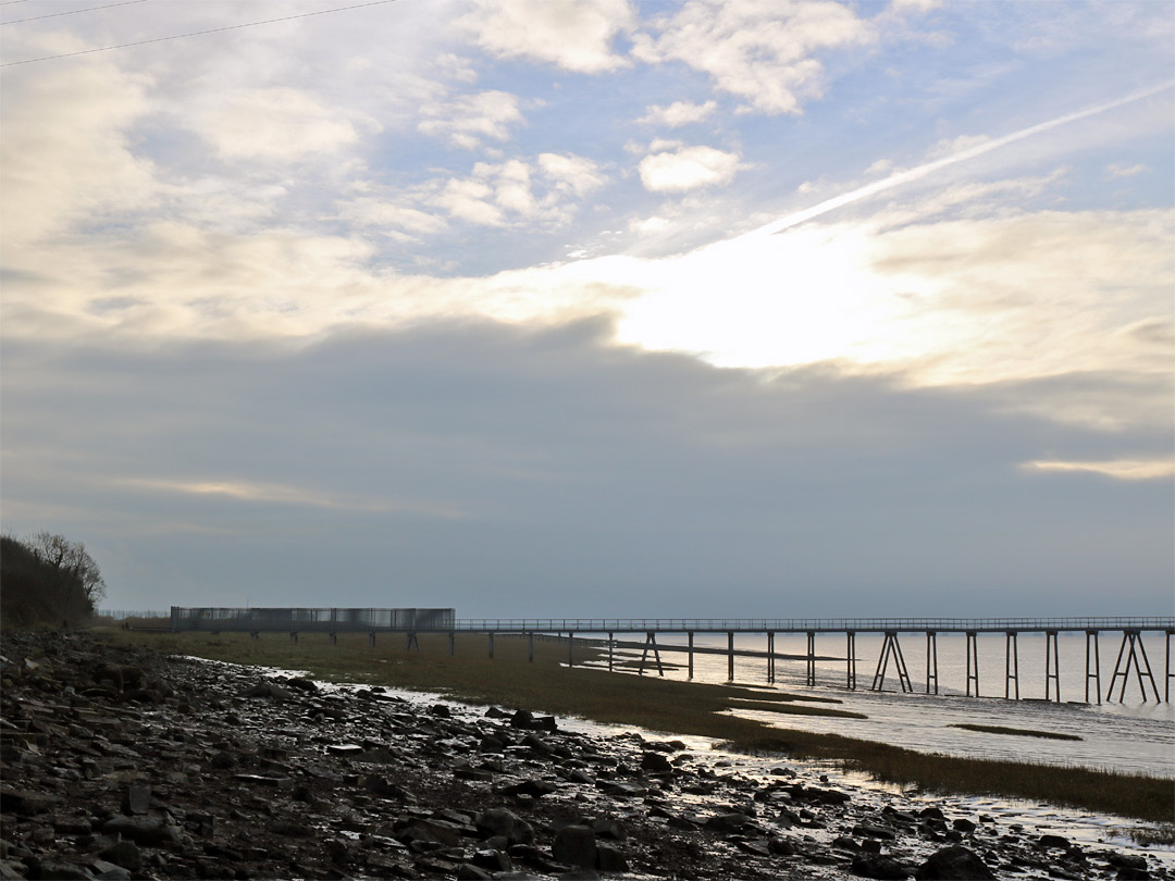 Pylon pier