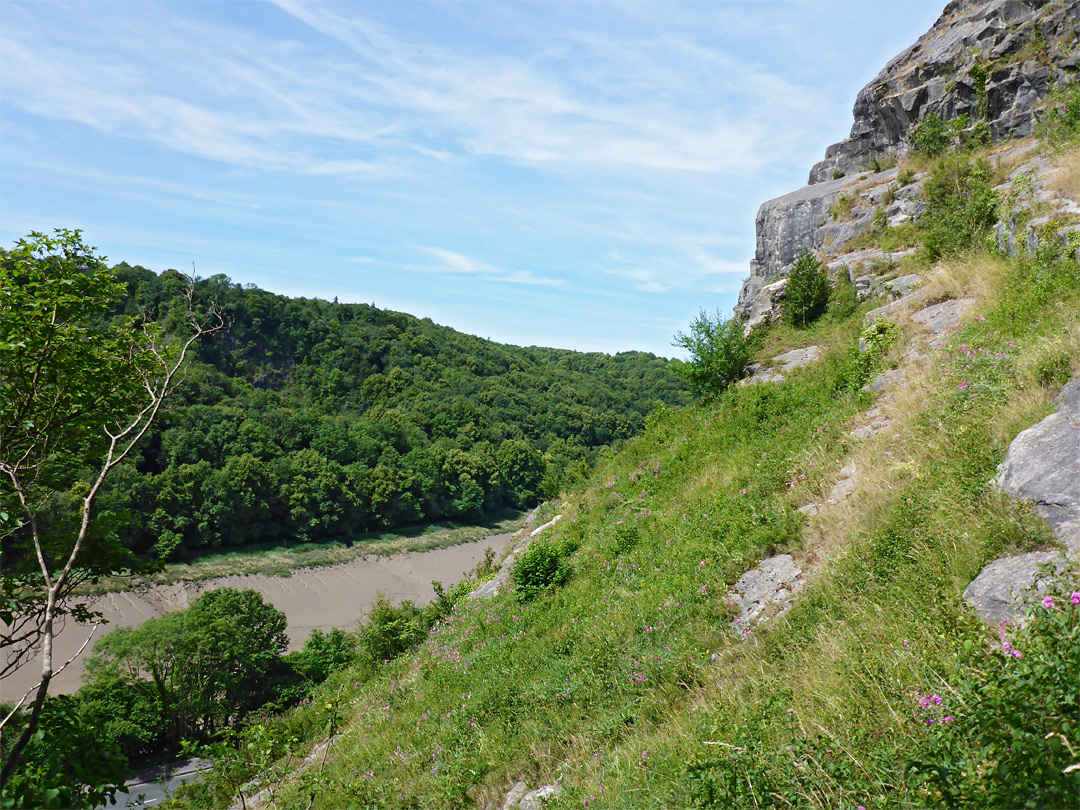 Limestone ledges