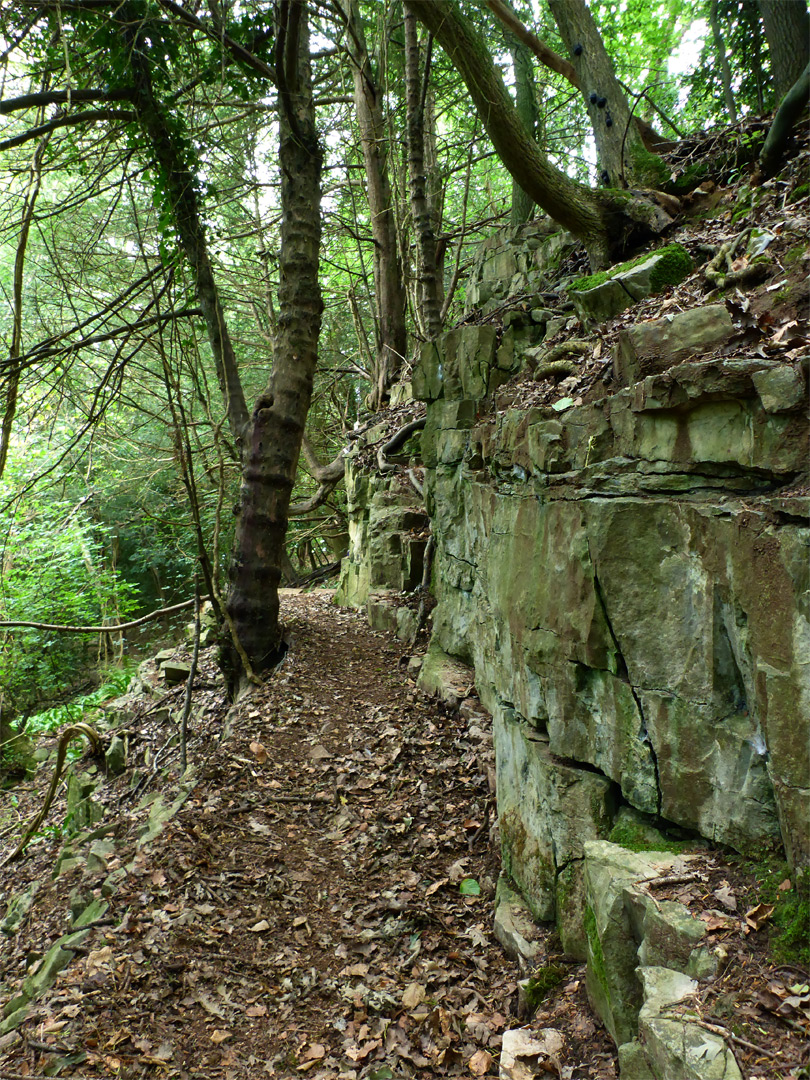 Limestone cliff