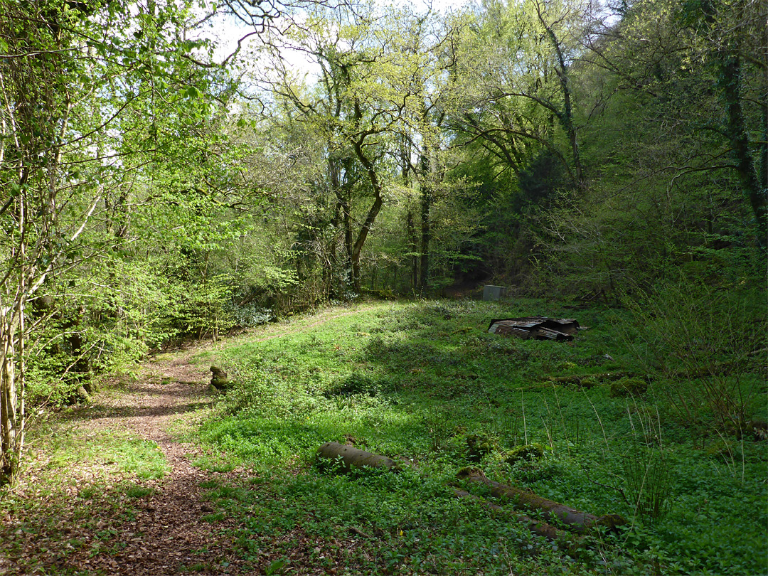 Old quarry