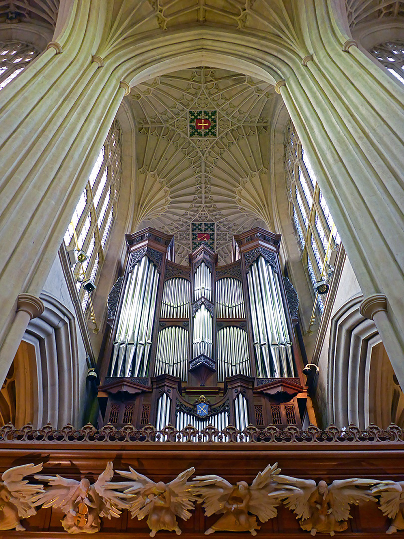 The organ