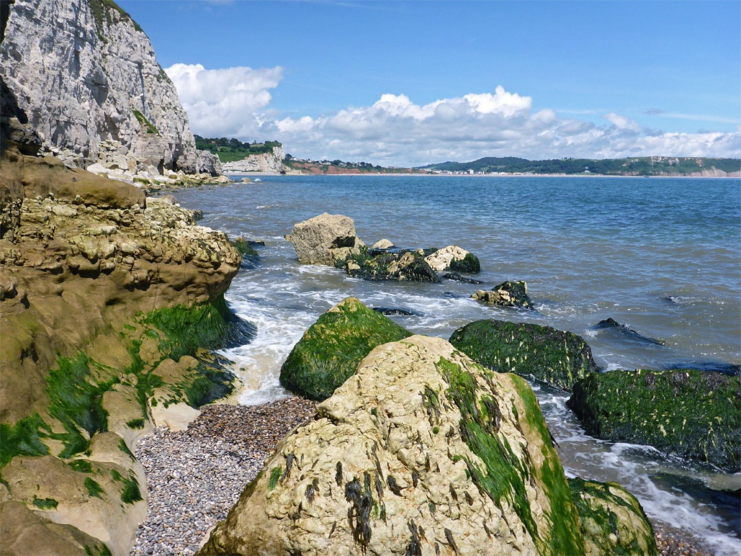 Rocks at low tide