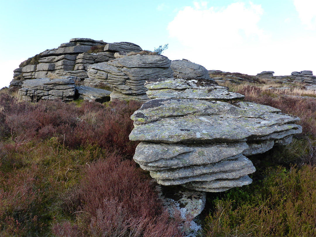 Rocks and heather