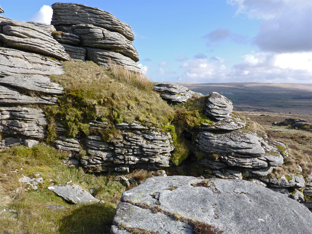 Grassy rocks