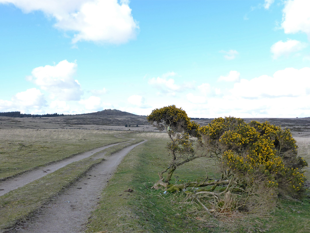 Track from the south