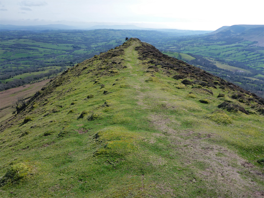 Grassy ridge