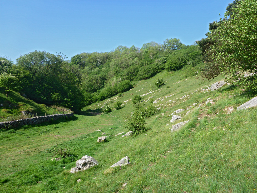 Limestone boulders