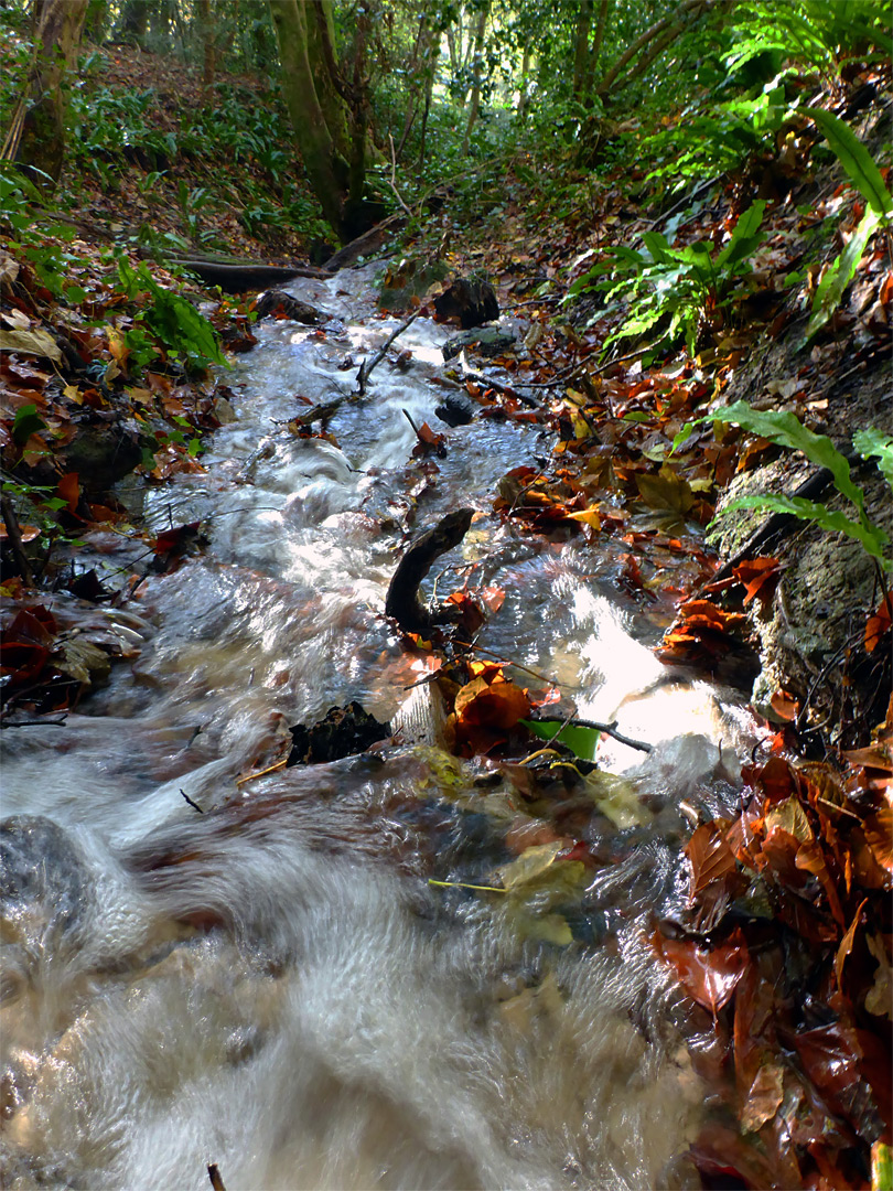 Swirling water