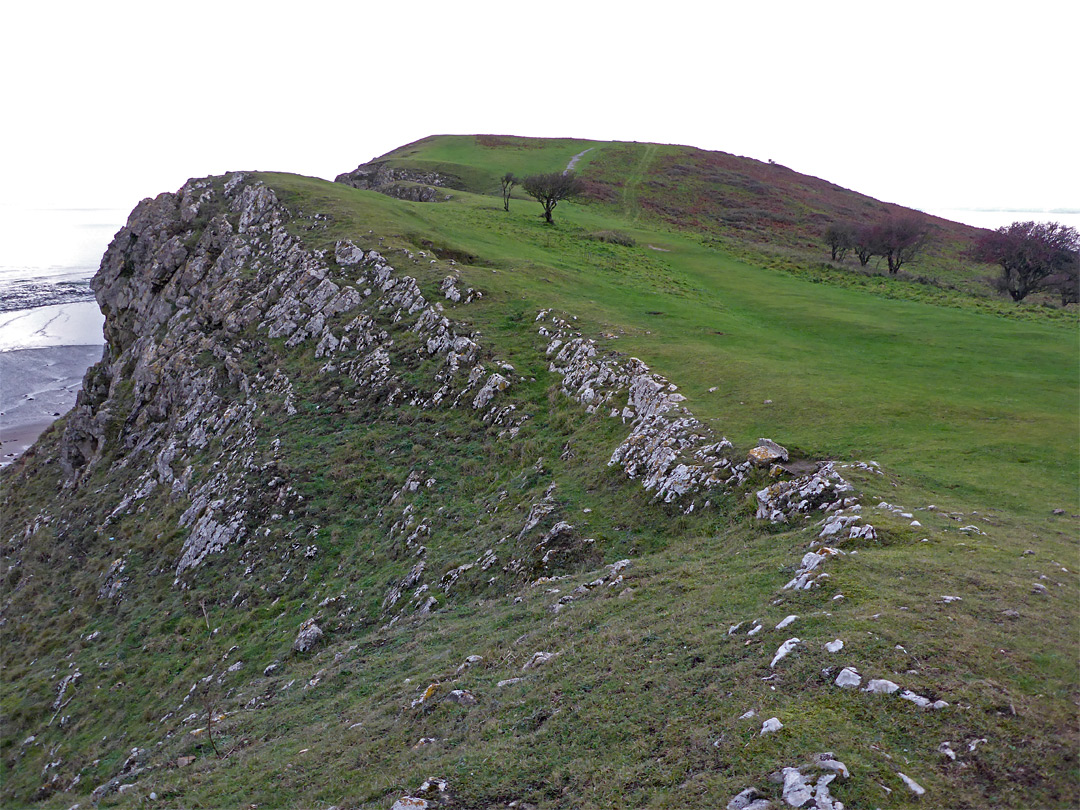 Limestone outcrop