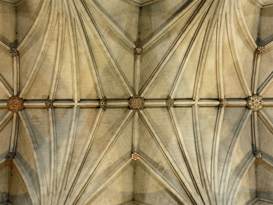 Ceiling of the nave