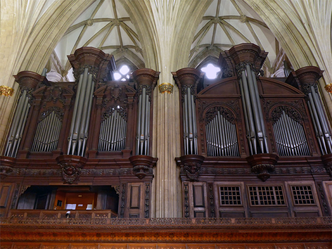 Organ