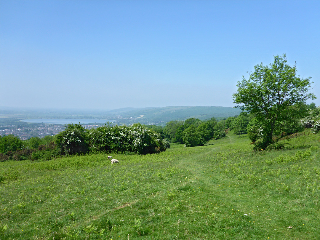 Path through the reserve