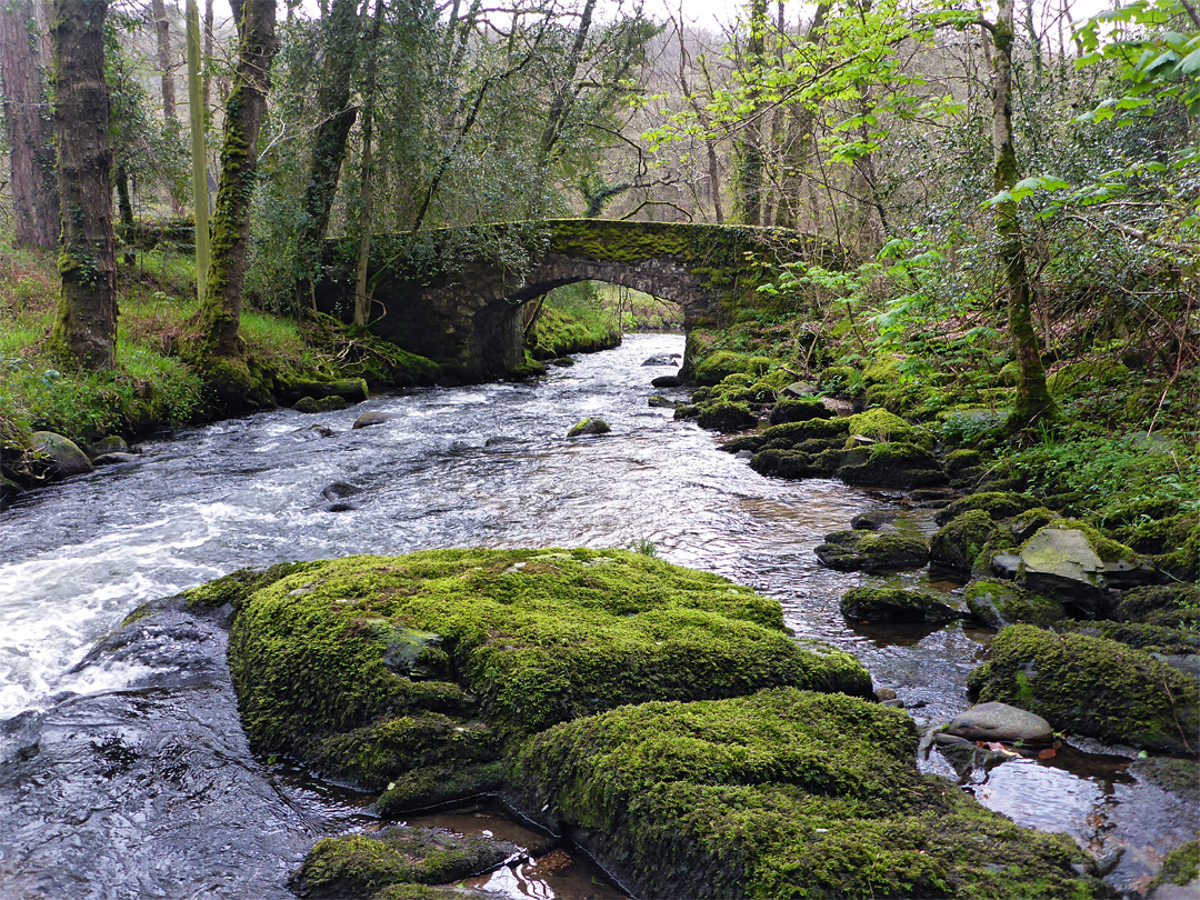 Buckland Bridge