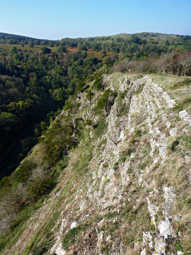 Dolebury Warren