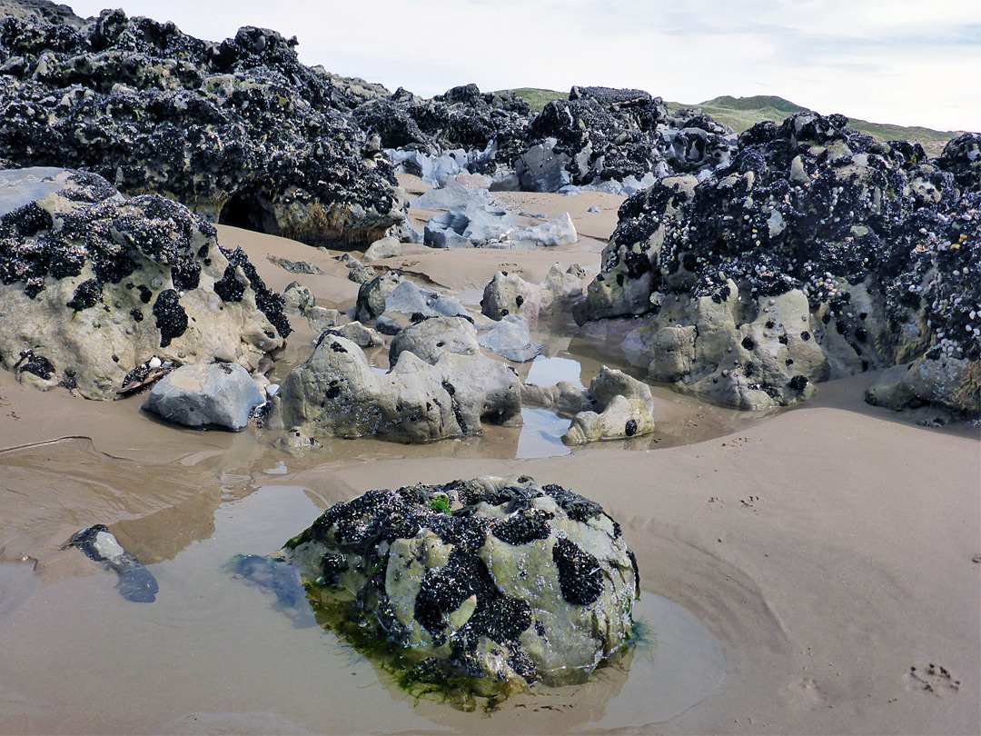 Rocks and sand