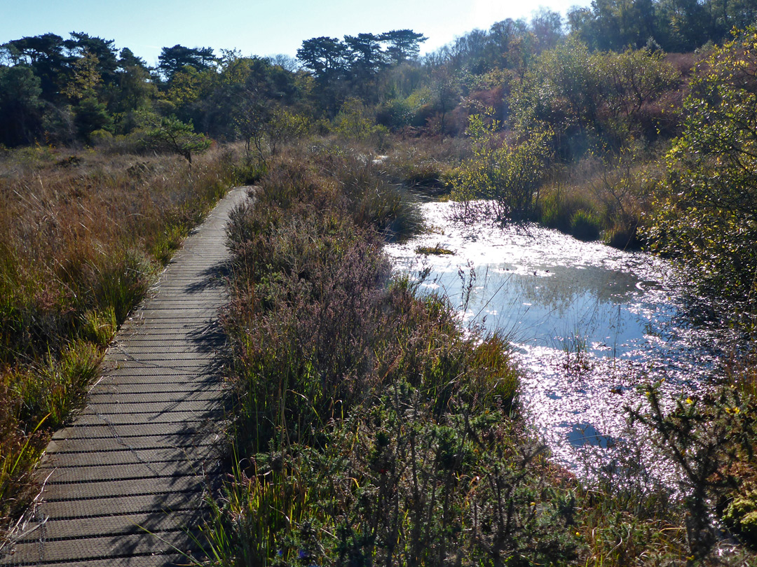 Long Ponds