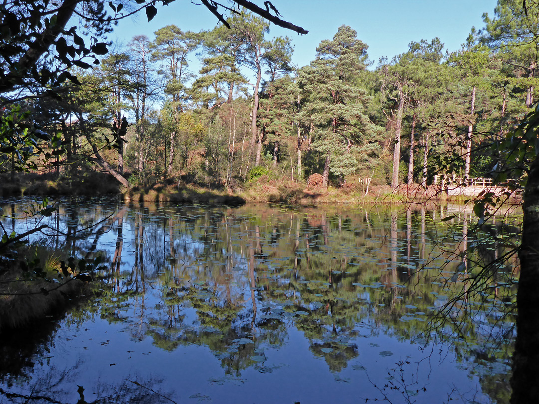 The main lake